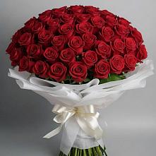 Букет 101 Красная роза Блэк Мэджик в Старо-Щедринской
