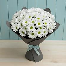 Букет цветов из:  Хризантемы в Старо-Щедринской