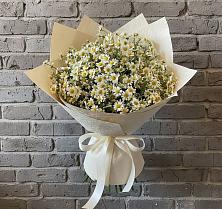 Букет цветов из:  Ромашки в Старо-Щедринской