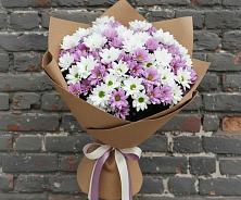 Букет цветов из:  Хризантемы в Старо-Щедринской