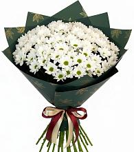 Букет цветов из:  Хризантемы #REPLACE_PRED# Старо-Щедринской