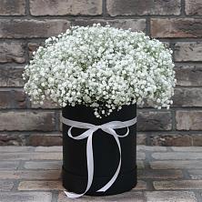 Цветочная композиция из Гипсофила в шляпной коробке в Старо-Щедринской
