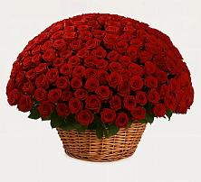 Премиум букет из: Розы #REPLACE_PRED# Старо-Щедринской