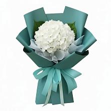 Букет цветов из:  Гортензия в Старо-Щедринской